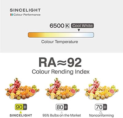 E27 LED Lamp 5 Watt - Milky Diffuser, Koel Wit 6500K, Hoog Kleurweergave, 500 Lumen, 6 Stuks