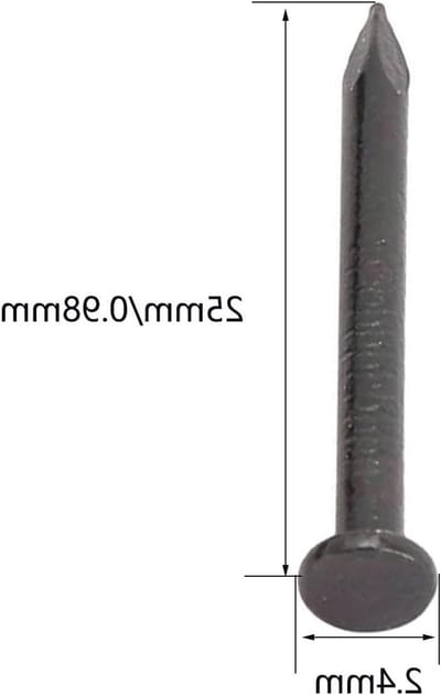 100 Stuks Spijkers voor Beton en Hout, 2.4mm x 25mm Wandspijkers voor Bevestigen van Foto's, Meubels en Constructie