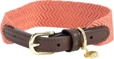 Kentucky Dogwear - Jacquard Hondenhalsband - Terracotta - Maat M/L - 58cm - Hondenriem
