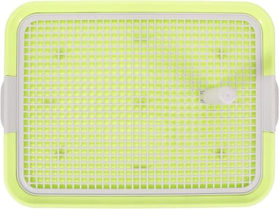 Huisdier Toilet - Plasbak Hond - Zindelijkheidstraining - Tweelaagse Structuur - 49x37cm - Lichtgroen