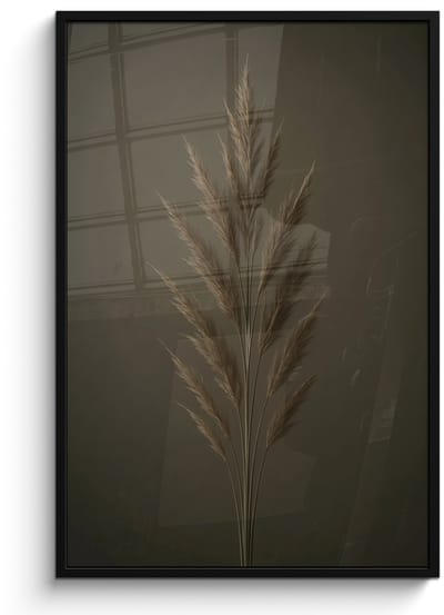 Poster in lijst - Fotolijst 80x120 cm - Posters - Tak - Pluimgras - Donkerbruin - Posterlijst zwart - Decoratie - Wanddecoratie woonkamer - Muurdecoratie slaapkamer