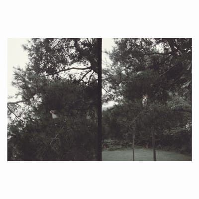 Okkyung Lee - Just Like Any Other Day (LP)