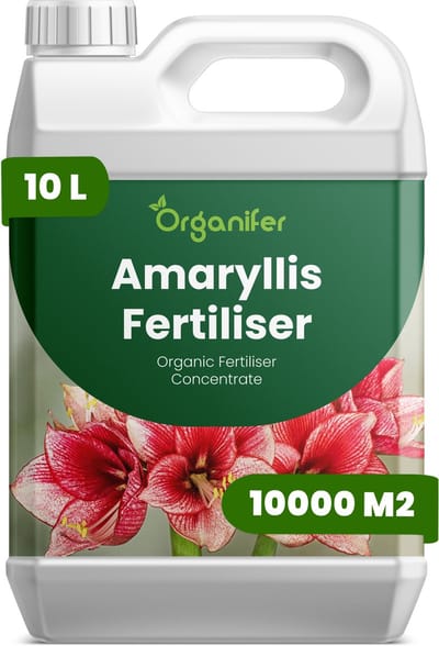 Vloeibare Meststof Voor Amaryllis - 10 L Voor 10000 M2 - Npk 3-4-3 - Voor Sterke Bolontwikkeling - Grote Bloemen - Intense Kleur - Rechtopstaande Bloemstelen - Krachtige Wortelontwikkeling - Knopvorming - Bolvitaliteit - Organifer