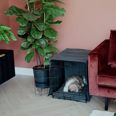 District 70 Bench Hoes Donkergrijs - Hondenbench - 64x48x52 cm