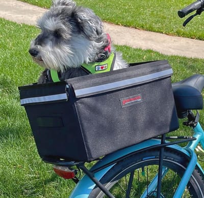 Fietsendrager voor Honden en Boodschappen - Verstelbare Fietstas met Antislip Bevestiging - Geschikt voor Achterzitje en Fietskrat