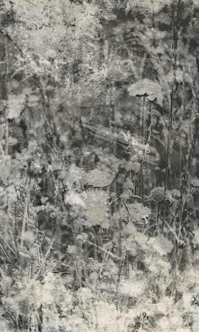 Fotobehang - Nature Gray Abstract 150x250cm - Vliesbehang