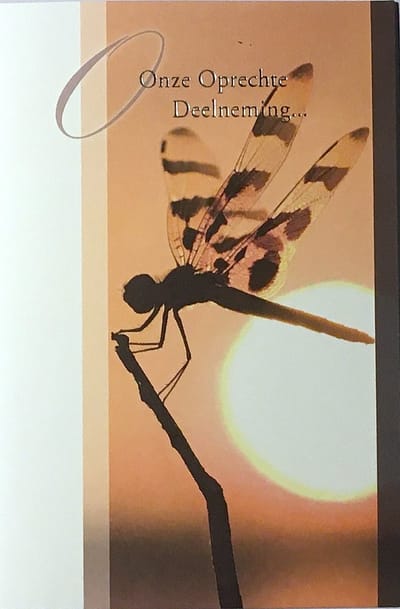 Luxe Wenskaart Deelneming - Condoleance - Overlijden - Oprechte Deelneming - Art of Cards - 11,5x17cm - Dubbele Kaart - Met Envelop - Luxe Wens Kaart - Greeting Card - 1 Stuks - In Folie Apart Verpakt - Angel 48 - Gratis Verzending