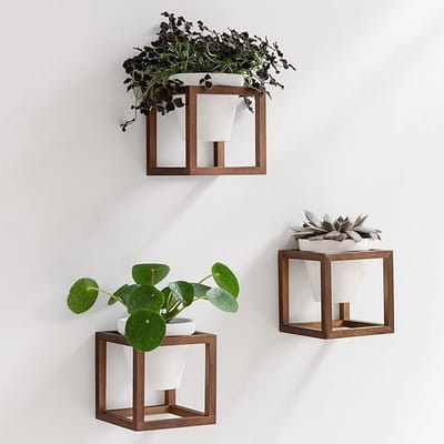 Wandplantenbakken -Lille- | Hangende bloempotten in massief houten frames |