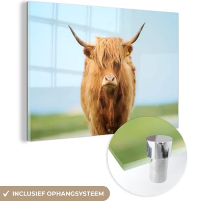 MuchoWow® Glasschilderij 60x40 cm - Schilderij acrylglas - Schotse hooglander - Haar - Gras - Foto op glas - Schilderijen