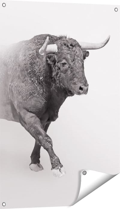 Gards Tuinposter Stier op een Grijze Achtergrond - Zwart Wit - 60x90 cm - Tuindoek - Tuindecoratie - Wanddecoratie buiten - Tuinschilderij