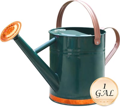 Gieters voor binnen en buiten, 1 gallon - Perfect voor planten en decoratie