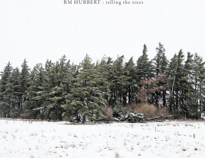 RM Hubbert - Telling The Trees (LP)
