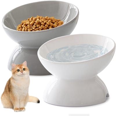 Dailygoody - Verhoogde Kattenbak - Keramiek - 15° Helling Ontwerp - Wit - Voerbak voor Katten en Honden - Duurzaam en Milieuvriendelijk