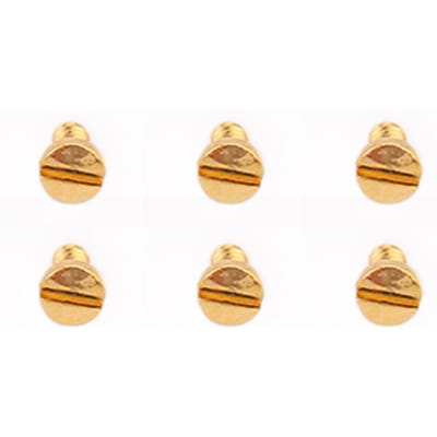 6pcs Vis de Couvercle Arrière de Montre Professionnel Montre à Quartz Boîtier Arrière Vis Fendue Pièces de Réparation Accessoire de Remplacement Or beige