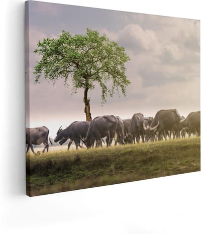 Artaza Canvas Schilderij Kudde Buffels - 50x40 cm - Wanddecoratie Boom - Muurdecoratie Wilde Dieren - Kamer Accessoires Bos