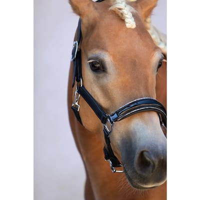 Leren halster voor paard Bridlery Eternity