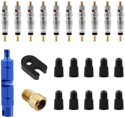Dailygoods- Ventielkernreparatieset Inclusief 10 Ventielkernen - 10 Ventieldoppen - Messing Schroef - Kunststof Gesp - Installatiegereedschap - Geschikt voor Tubeless Race- en MTB-Banden - Ventielkern