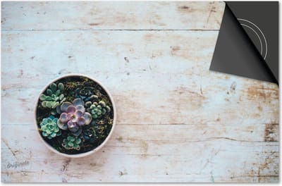 Inductie beschermer 60x60 - afdekplaat inductie mat - Dietrix Kookplaat beschermer - Exclusief - Bloemen en Planten - Cactus op hout