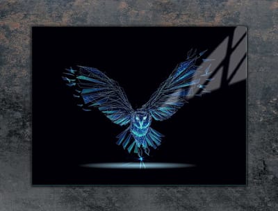 TMK ArtDeko Serie - Glazen Beschermplaat - 70x52 cm - Vogel - Veilige Montage