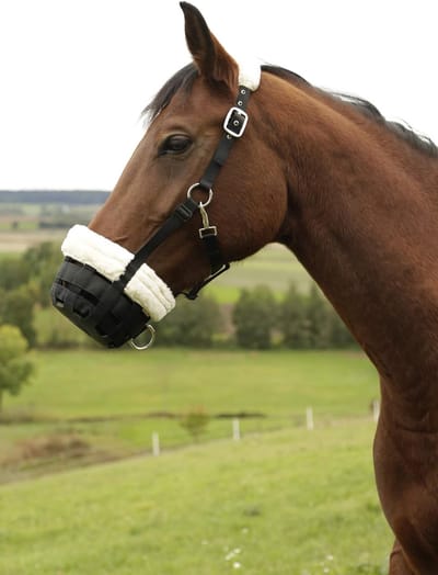 Paarden Muilkorf - Voedingsremmer - Gras Eten Beperken - Teddyfleece Voering - Volledig Formaat - Zwart