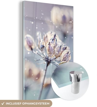 MuchoWow® Glasschilderij 120x180 cm - Schilderij acrylglas - Bloemen - Sneeuw - IJs - Winter - Botanisch - Foto op glas - Schilderijen