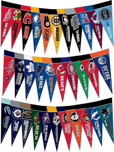 Mini Pennant Set - Vaantjes NHL Teams - Sportfans Decoreren - Officieel Gelicentieerd Vilt - 4 x 9 inch - Meerkleurig