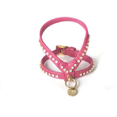 Hondentuig Carlain AGN Strass