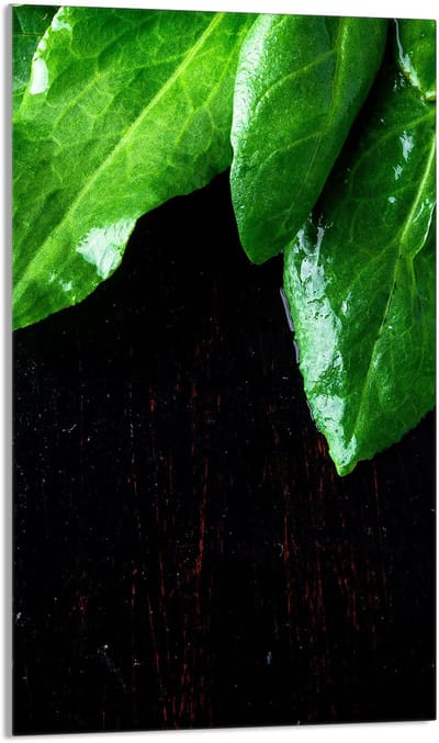 TMK ArtDeko Serie - Snijplank - Glas - 30x52cm - Basilicum