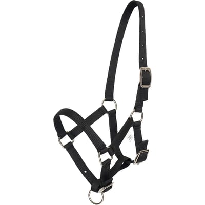 Halster voor paarden HV Polo Nena