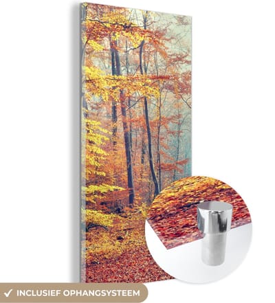 MuchoWow® Glasschilderij 20x40 cm - Schilderij acrylglas - Bos - Herfst - Bladeren - Foto op glas - Schilderijen