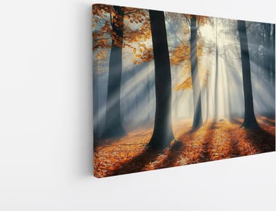 Saammp Canvas Schilderij - Natuur - Bos met mist - landschappen - 45x30 - Foto op canvas - Wanddecoratie - Muurdecoratie Woonkamer - Slaapkamer decoratie - Canvas Print