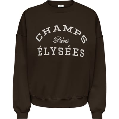 Jacqueline de Yong mesa life l/s o-nk emb sweat jrs 15370526 ganache champs elusees