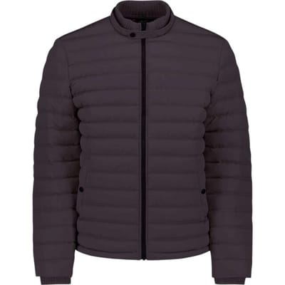 No Excess Jacket short fit padded aubergine