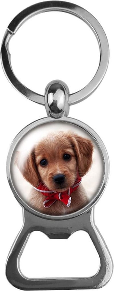Bieropener Glas - Hond