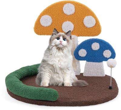 COSTWAY Krabpaal in paddenstoellook, kattenboom met kattenbed, sisal-krabplank & shuttle, hoofdsteun, klimboom, katten, kattenmeubel, speelboom, kattenkrabpaal, hout, 59 x 49 x 43 cm, kleurrijk