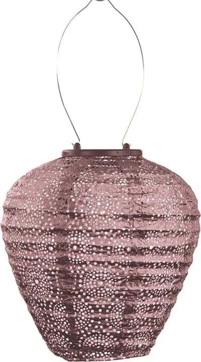 Lumiz Solar Lampion - Tuinlamp op zonne energie - Balloon - 20 cm - Plum