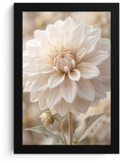 Poster in lijst - Fotolijst 20x30 cm - Posters - Bloem - Dahlia - Wit - Posterlijst zwart - Decoratie - Wanddecoratie woonkamer - Muurdecoratie slaapkamer
