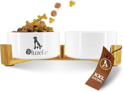 XXL Hondenvoerbak 2-in-1 met Houten Standaard en Antislip Ontwerp - Verhoogde Keramische Bakken voor Honden en Katten
