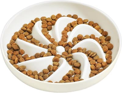 Keramische Slow Feeder Kom voor Katten en Kleine Honden - Langzaam Eten Voedingsbak