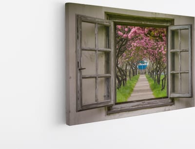 Saammp Canvas Schilderij - Pad met bomen met roze bloesem - Natuur - Doorkijk - 45x30 - Foto op canvas - Wanddecoratie - Muurdecoratie Woonkamer - Slaapkamer decoratie - Canvas Print
