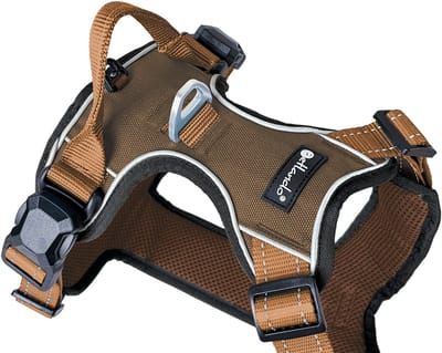 Petlando Hondentuig Mocha-Cognac met magnetische sluiting- maat S- 46 – 56 cm.