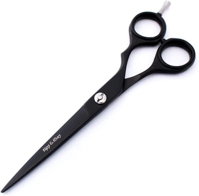 Professionele haarkappersschaar en dunningschaar set - 6,5 inch - roestvrijstalen knipschaar voor mannen, vrouwen en kinderen - ideaal voor kappers en haarstylisten