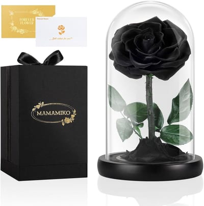 Eeuwige Rode Roos in Glazen Stolp - Perfect Cadeau voor Haar, Valentijnsdag, Verjaardag
