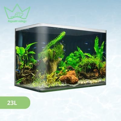 AquaKonings – Aquarium – Aquarium met afgeronde hoeken - Open Aquarium - Aquariumkit 40x23x25 23L