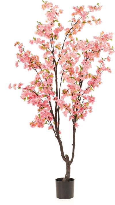 Emerald - Kunstboom Kersenbloesem 210cm roze - Kunstplant voor binnen - Japanse Sakura - Bloesemboom - Cherry Blossom