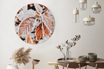 WallCircle - Wandcirkel - Muurcirkel - Bladeren - IJs - Winter - Natuur - Aluminium - Dibond - 140x140 cm - Binnen en Buiten