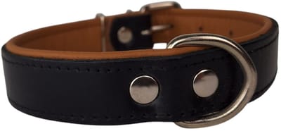 Dog's Companion - Leren hondenhalsband zwart camel small - Leren hondenhalsband zwart camel small