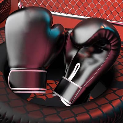 Bokshandschoenen - Trainingshandschoenen - Impact Training - Lichtgewicht Ontwerp - 10oz - Zwart