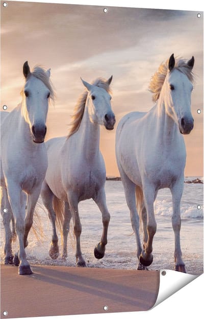 Gards Tuinposter Witte Paarden op het Strand bij Water - 90x120 cm - Tuindoek - Tuindecoratie - Wanddecoratie buiten - Tuinschilderij