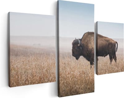 Artaza Canvas Schilderij Drieluik Bizon in het Gras - 90x60 - Foto Op Canvas - Canvas Print